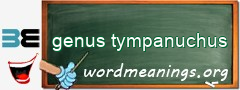 WordMeaning blackboard for genus tympanuchus
